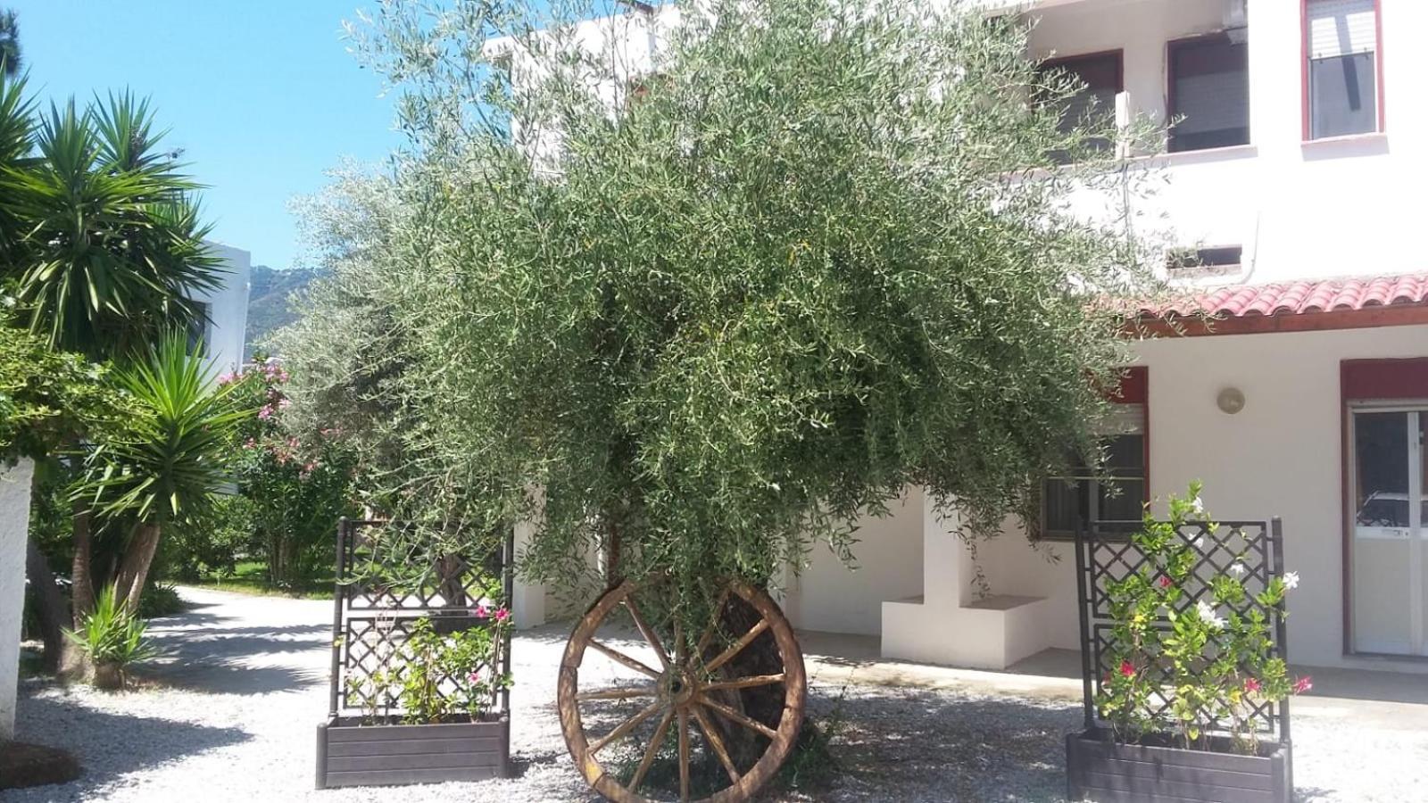 Appartamenti La Baia Del Rais Falcone Quarto foto